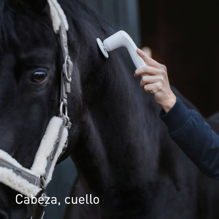 Terapia vibracional caballos