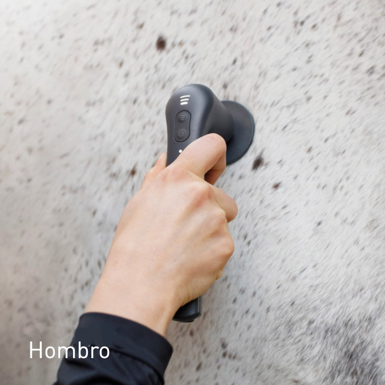 Terapia vibracional hombro del caballo