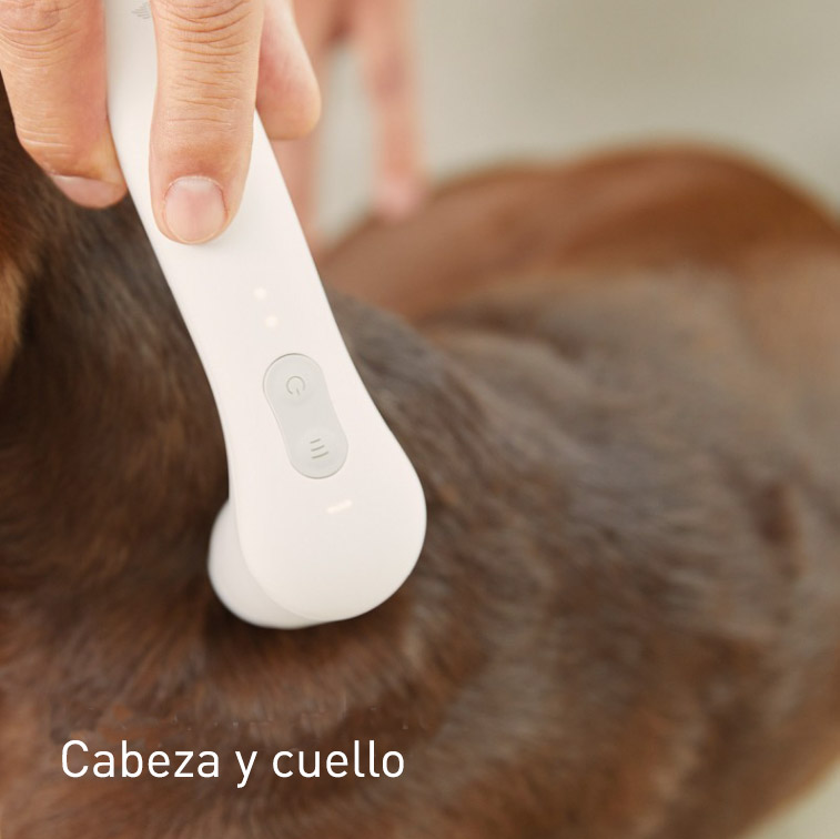 Terapia vibracional Cabeza y cuello del perro