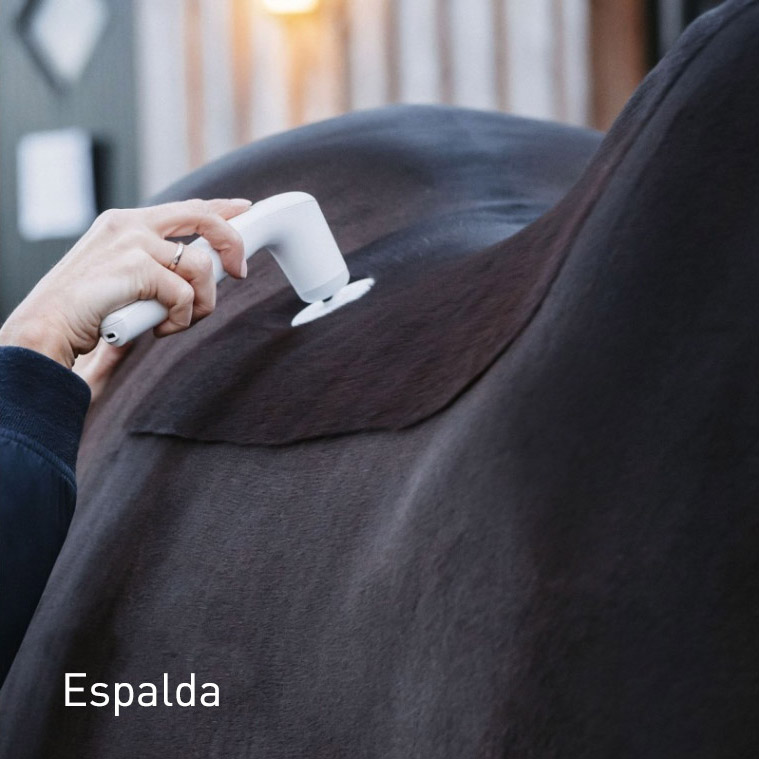 Terapia vibracional Espalda caballo